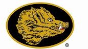 boarshead logo